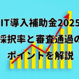 【IT導入補助金2025】採択率と審査通過のポイントを解説